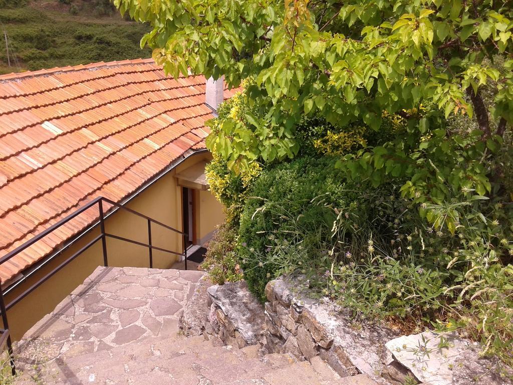 ורנאצה Ca Gialla De Drignana מראה חיצוני תמונה